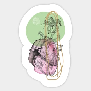 Anatomical heart, engraving drawing. Sticker